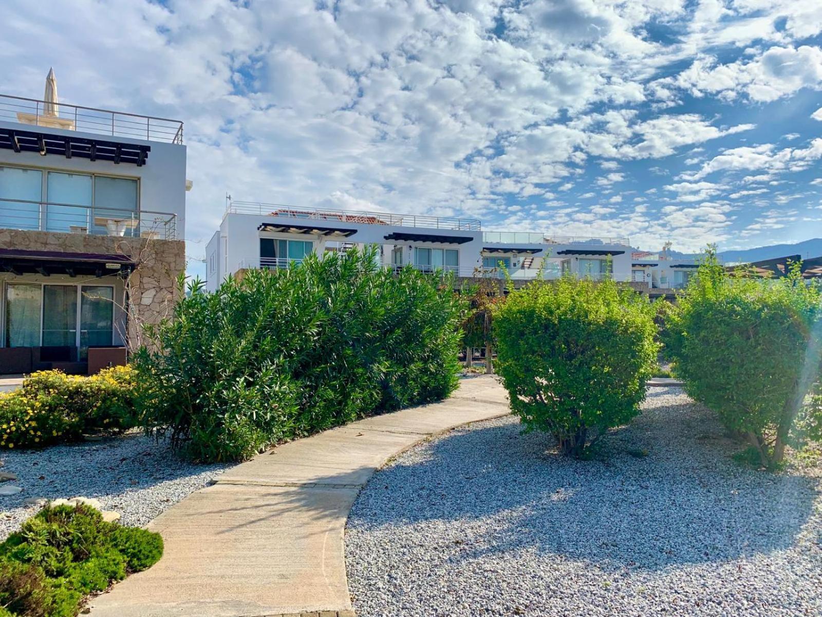Boho Bay Apartment Akanthou المظهر الخارجي الصورة